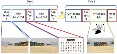 Learned Spatial Schemas and Prospective Hippocampal Activity Support Navigation After One-Shot Learning